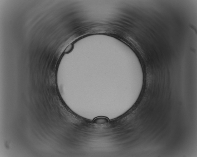 X0000100871465200807181226