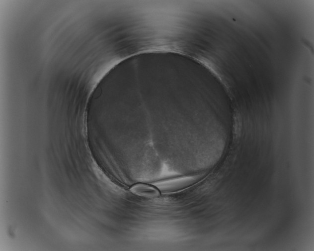 X0000100871468200807181226