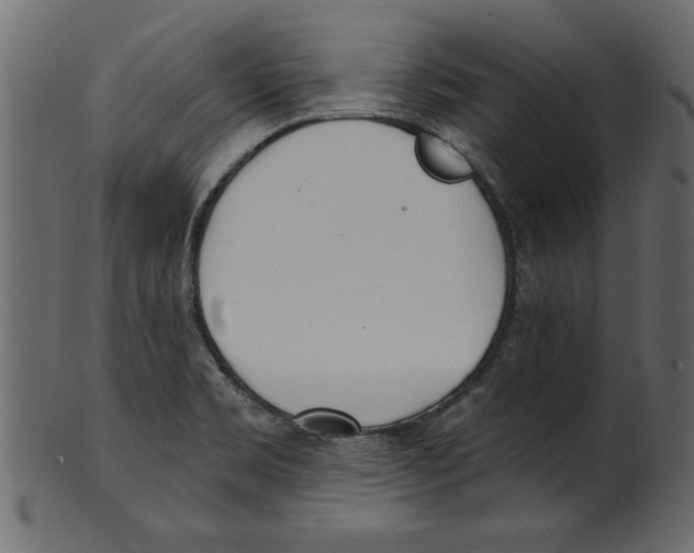 X0000100871469200807181226