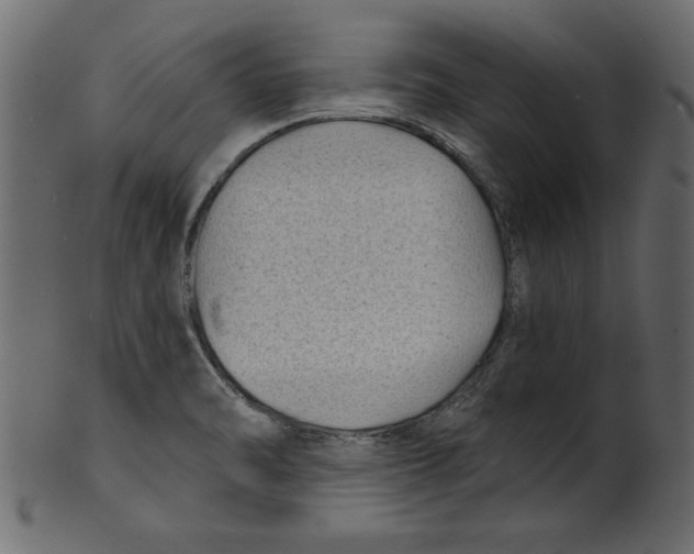 X0000100871470200807181226