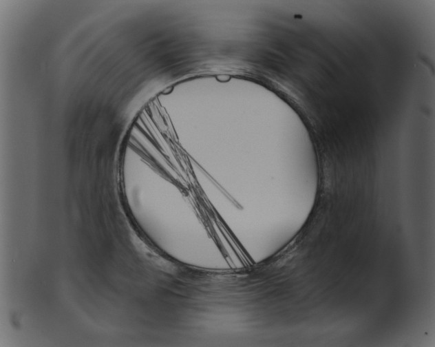 X0000100871471200807181225