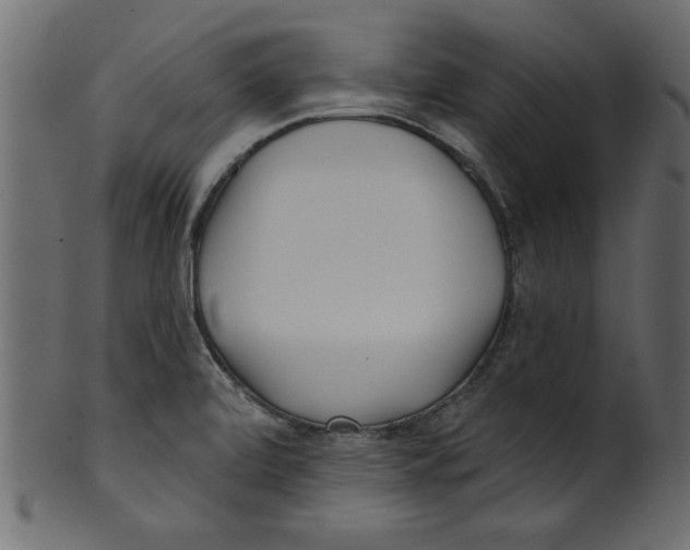 X0000100871472200807181225