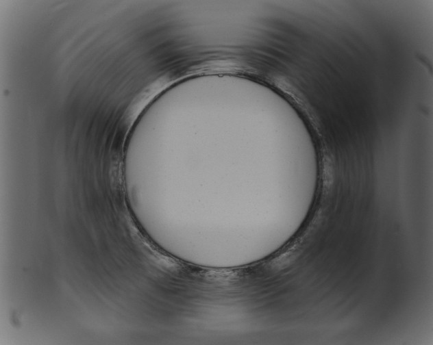X0000100871473200807181225