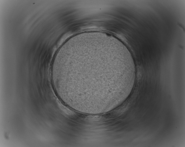 X0000100871474200807181225