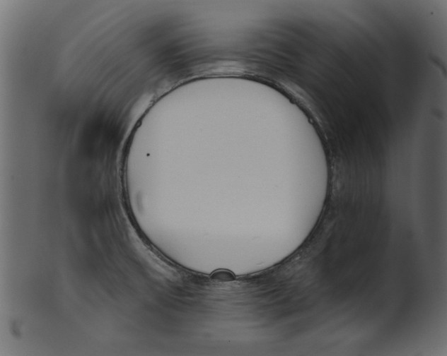 X0000100871475200807181225