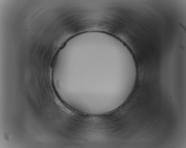 X0000100871476200807181225