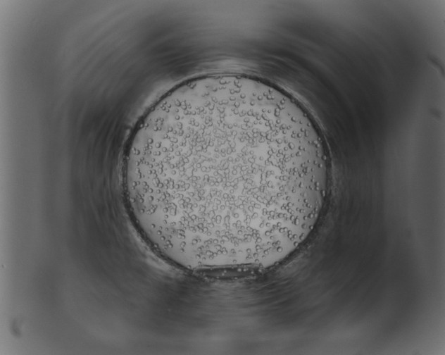 X0000100871477200807181225
