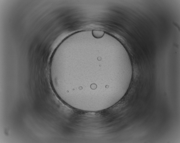 X0000100871478200807181225