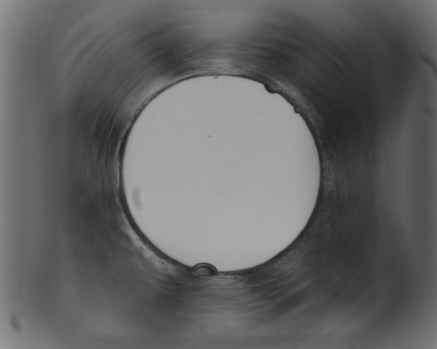 X0000100871479200807181225
