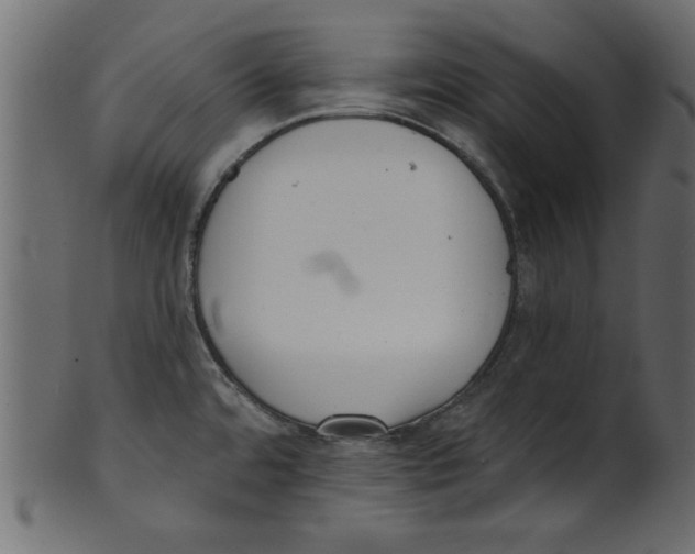 X0000100871480200807181225
