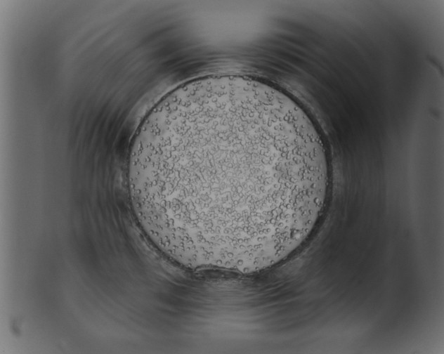 X0000100871481200807181225
