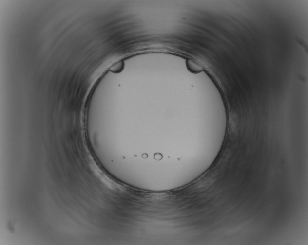 X0000100871482200807181225