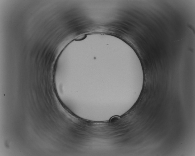 X0000100871483200807181225