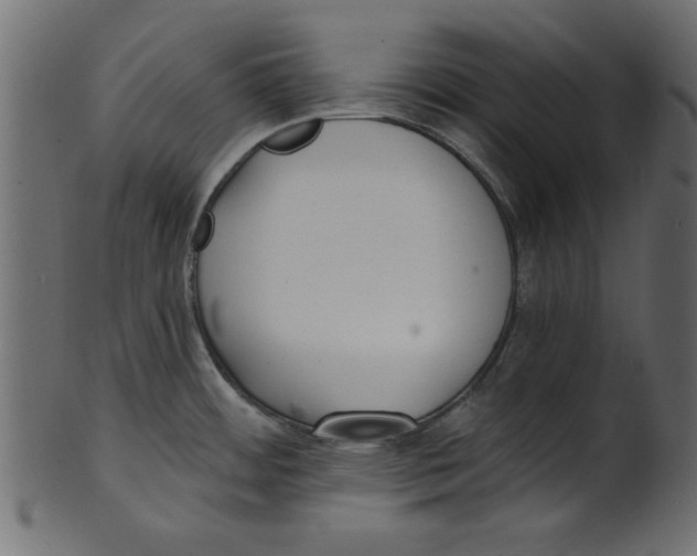 X0000100871484200807181225