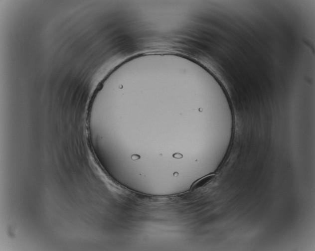 X0000100871485200807181225