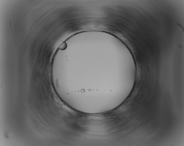X0000100871486200807181225
