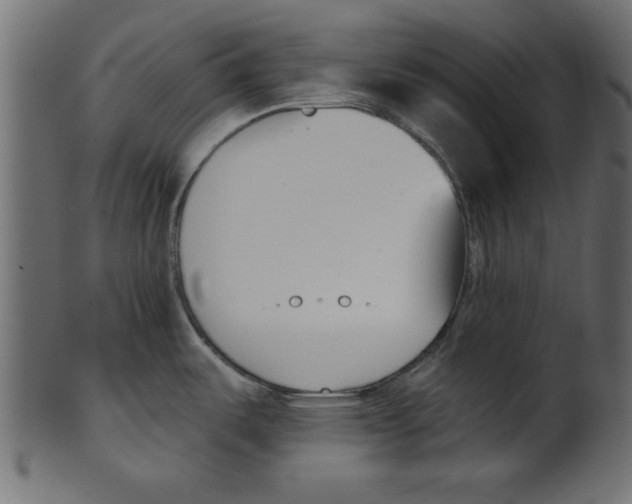 X0000100871487200807181225