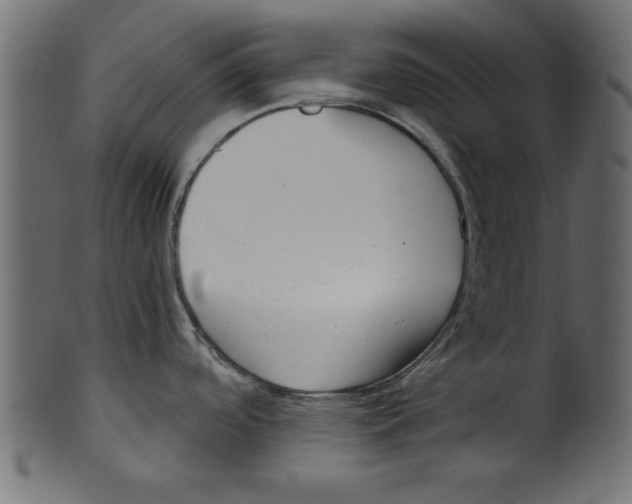 X0000100871488200807181225