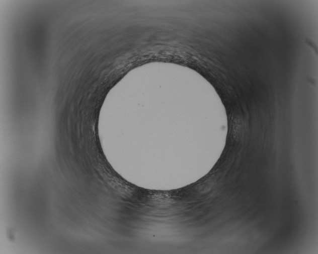 X0000100871489200807181225