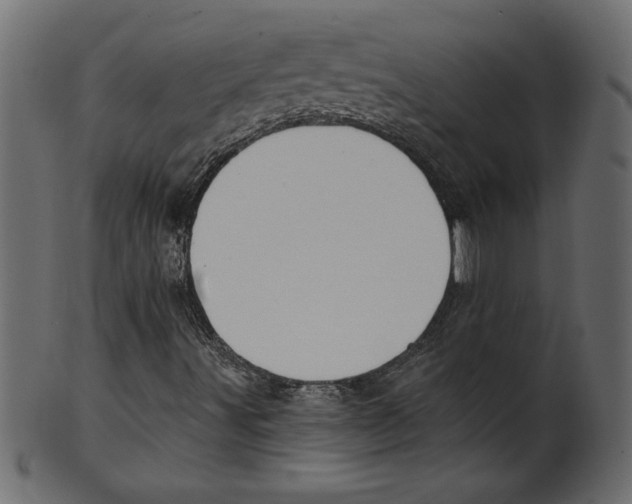 X0000100871491200807181225