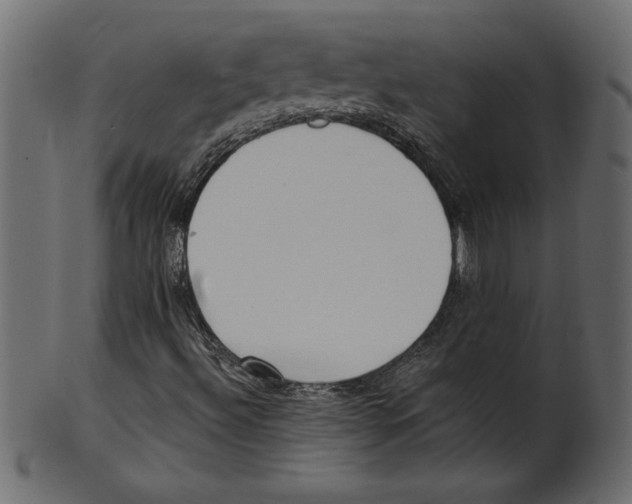 X0000100871492200807181225