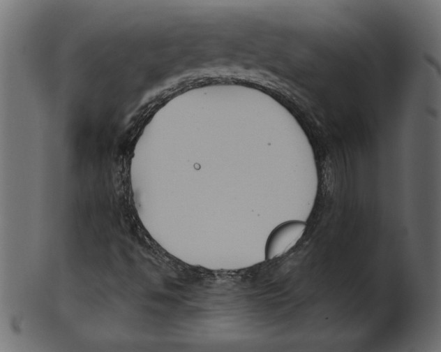 X0000100871494200807181225