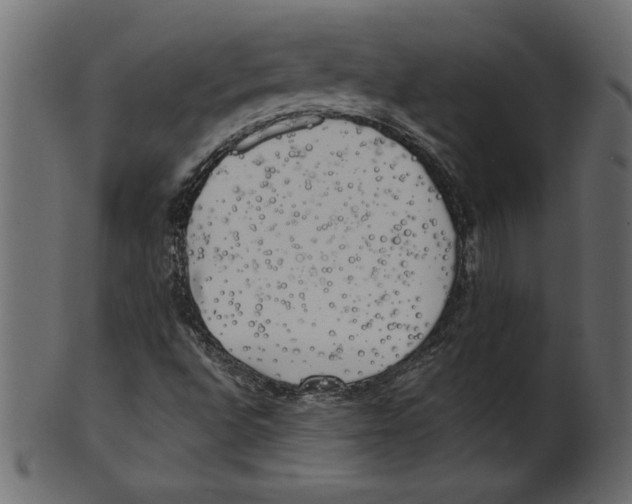 X0000100871496200807181225