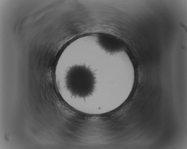 X0000100871497200807181225