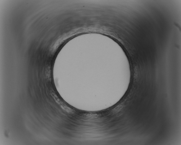 X0000100871499200807181225