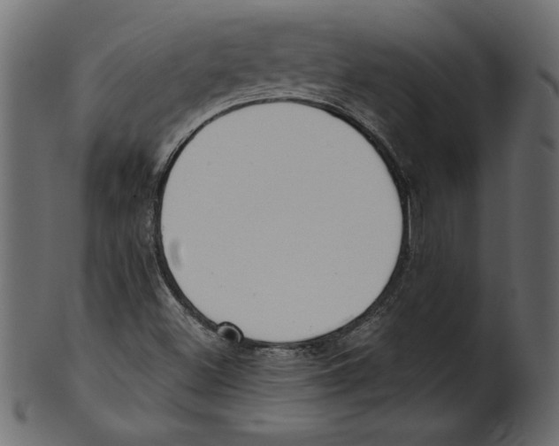 X0000100871500200807181225