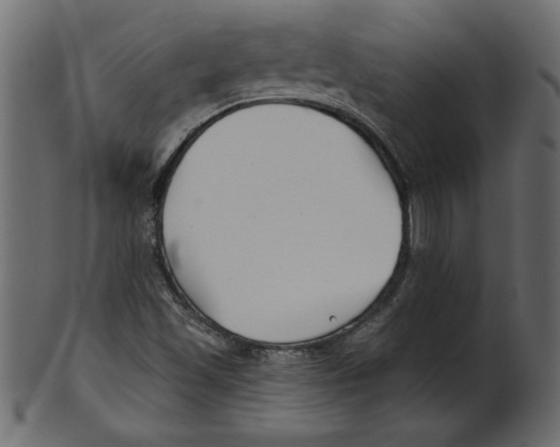 X0000100871501200807181225