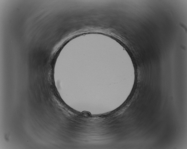 X0000100871502200807181225