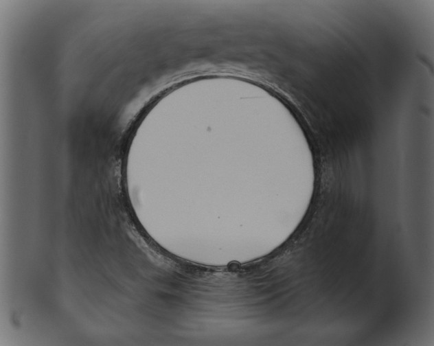 X0000100871503200807181225