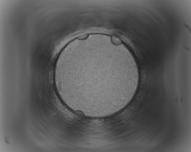 X0000100871504200807181225