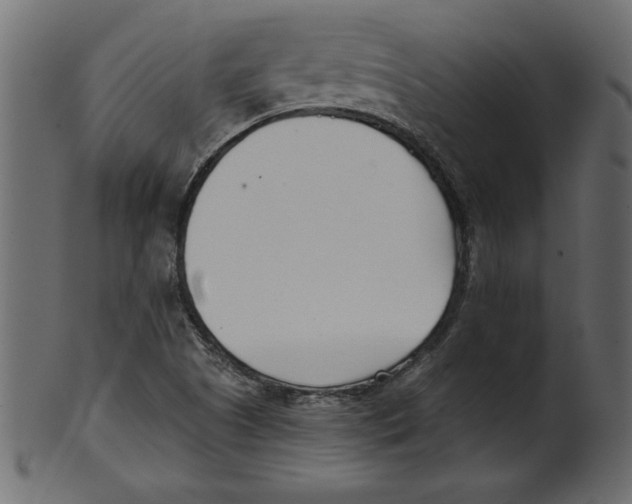 X0000100871505200807181225