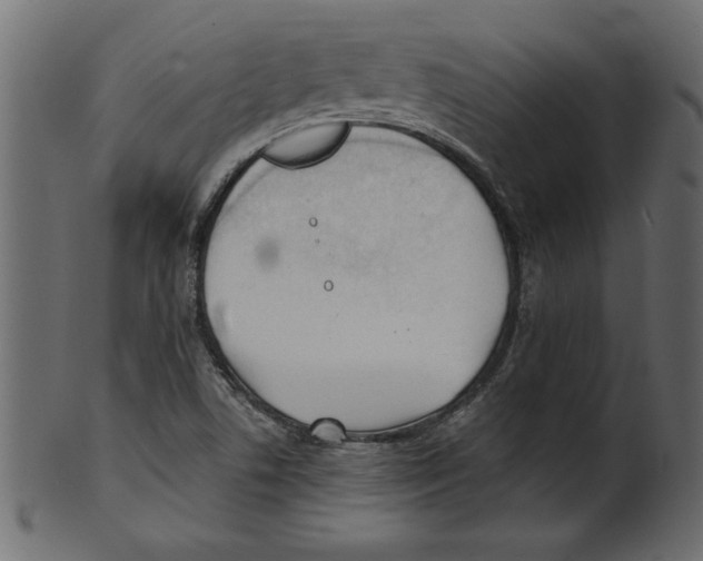 X0000100871506200807181225