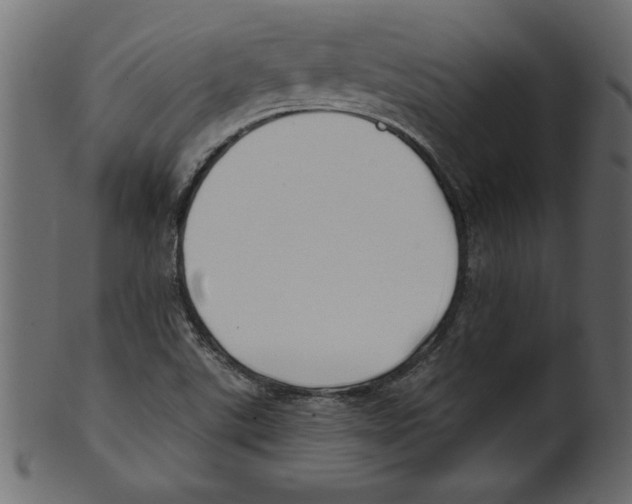 X0000100871507200807181225
