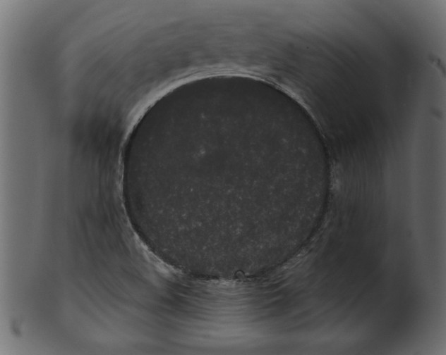 X0000100871508200807181225