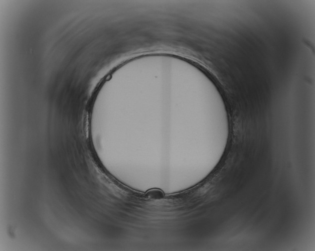 X0000100871510200807181225