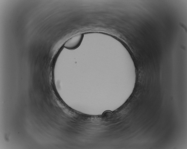 X0000100871511200807181225