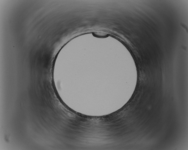 X0000100871512200807181225