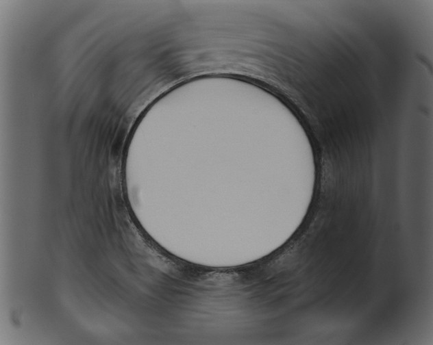 X0000100871513200807181225