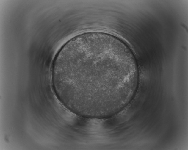 X0000100871514200807181225