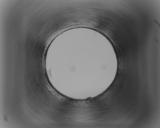 X0000100871516200807181225