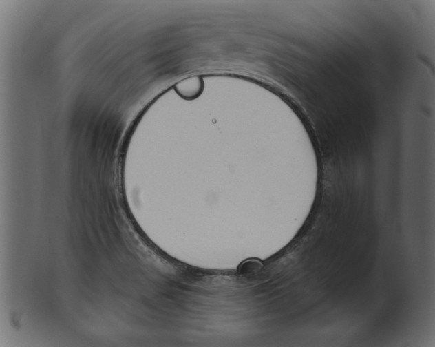 X0000100871517200807181225