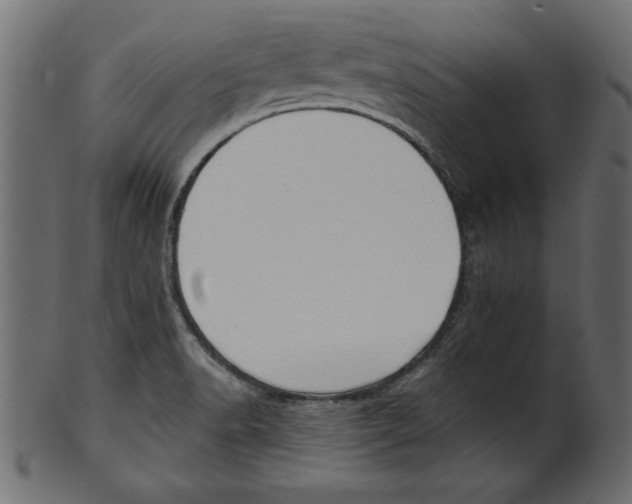 X0000100871518200807181225