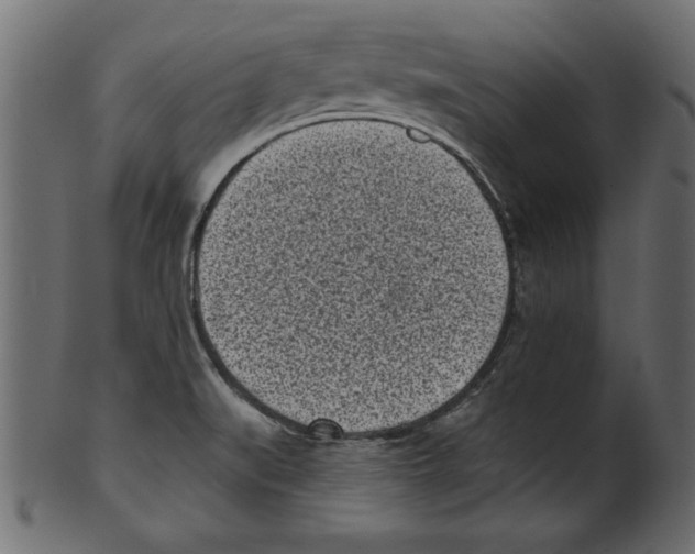 X0000100871519200807181225