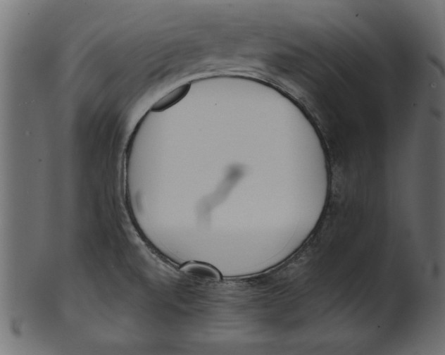 X0000100871520200807181225