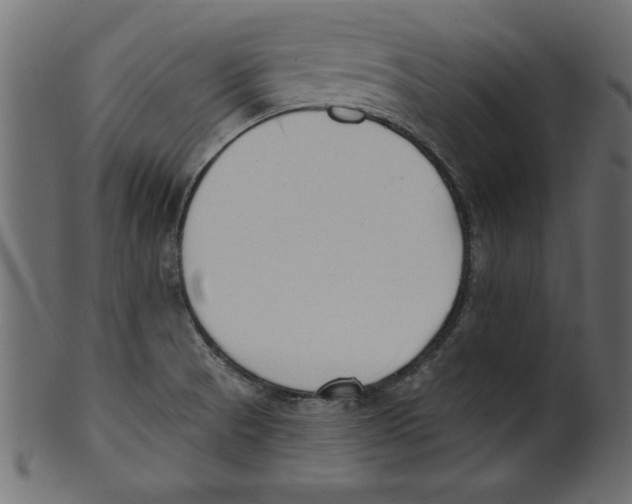 X0000100871521200807181225
