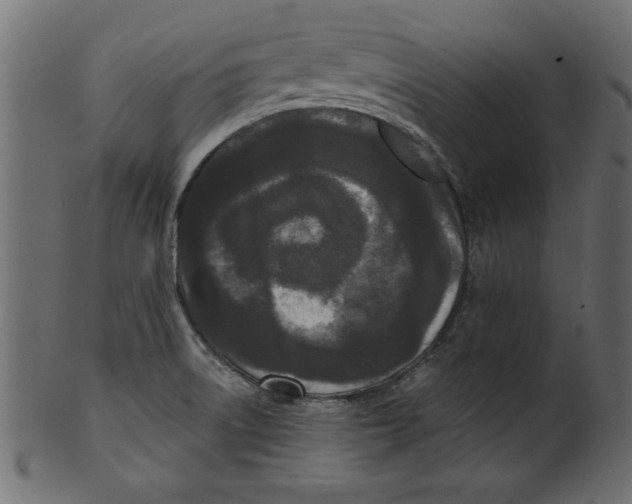 X0000100871522200807181225